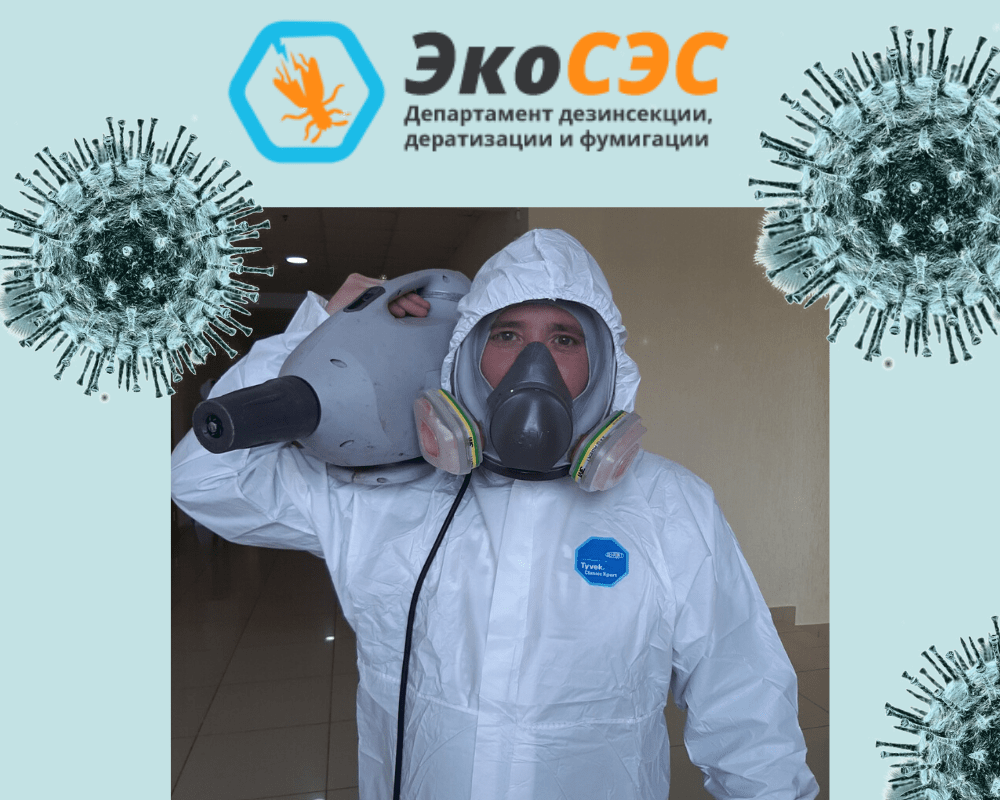Дезинфекция от вируса